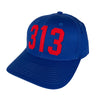 Hat - Detroit 313 - Multiple colors - Detroit Shirt CompanyDetroit Shirt CompanyHats (Apparel)