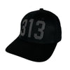 Hat - Detroit 313 - Multiple colors - Detroit Shirt CompanyDetroit Shirt CompanyHats (Apparel)